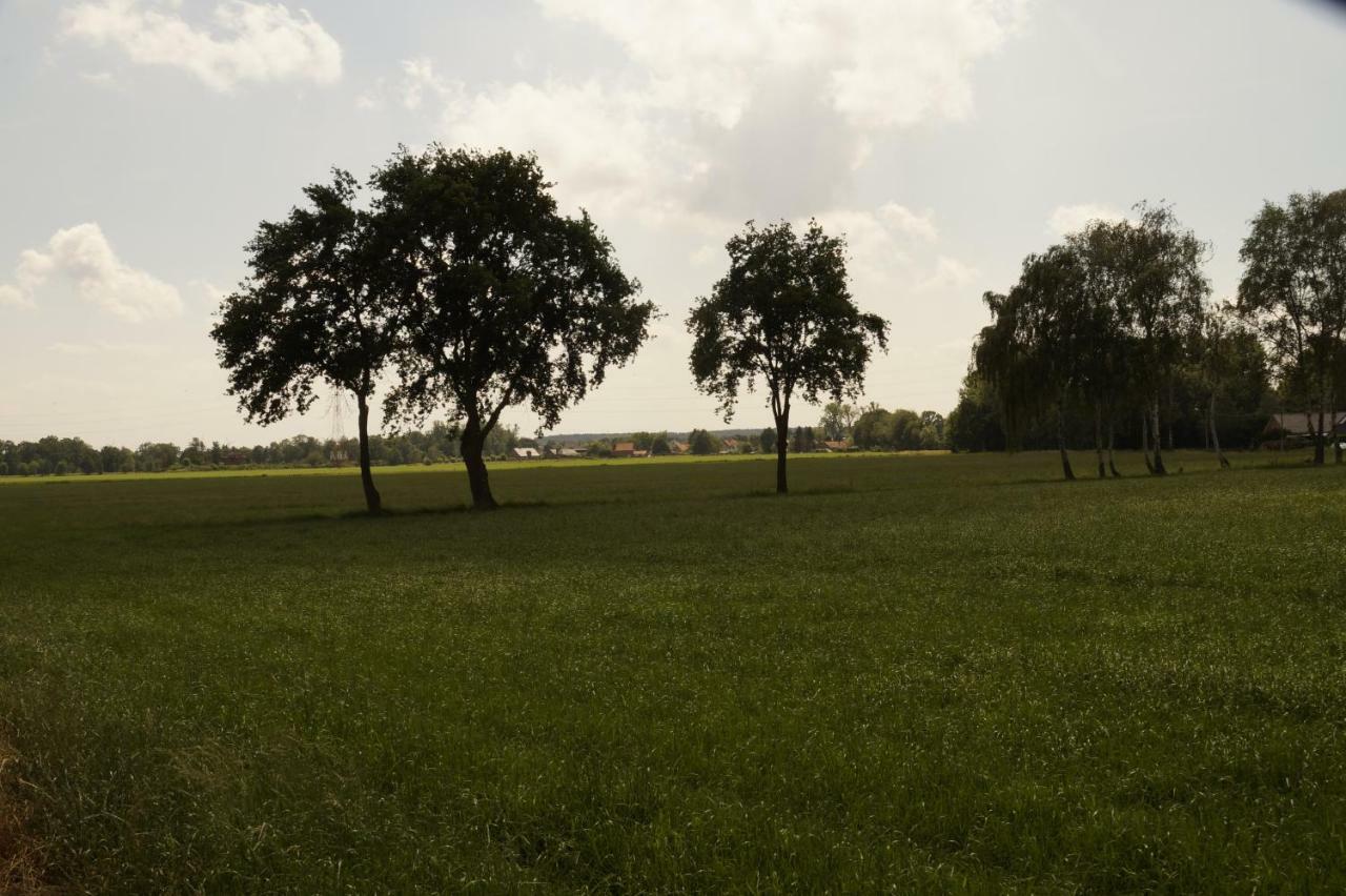 Kampenhof Villa Maaseik Exteriör bild