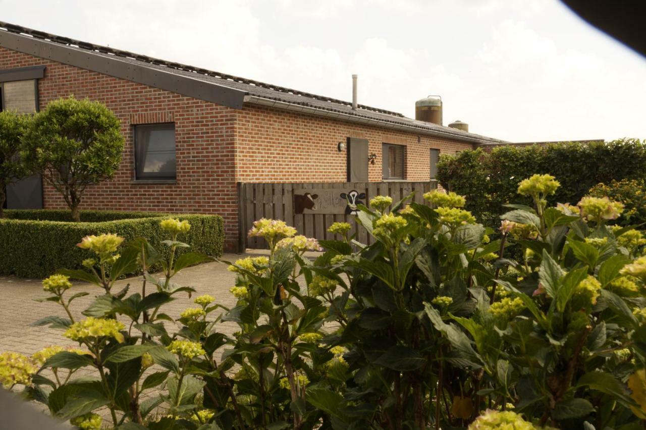 Kampenhof Villa Maaseik Exteriör bild